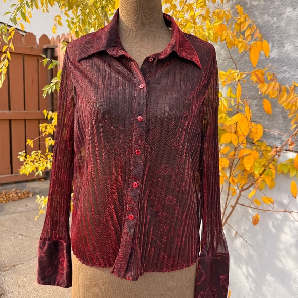 Sheer Red and Black Shimmer Pleated Blouse - Picture 1 of 9